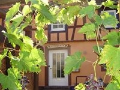 照片: Zum Salztrippler